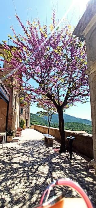 Вилла Relax Nell' Antico Borgo Casperia Экстерьер фото